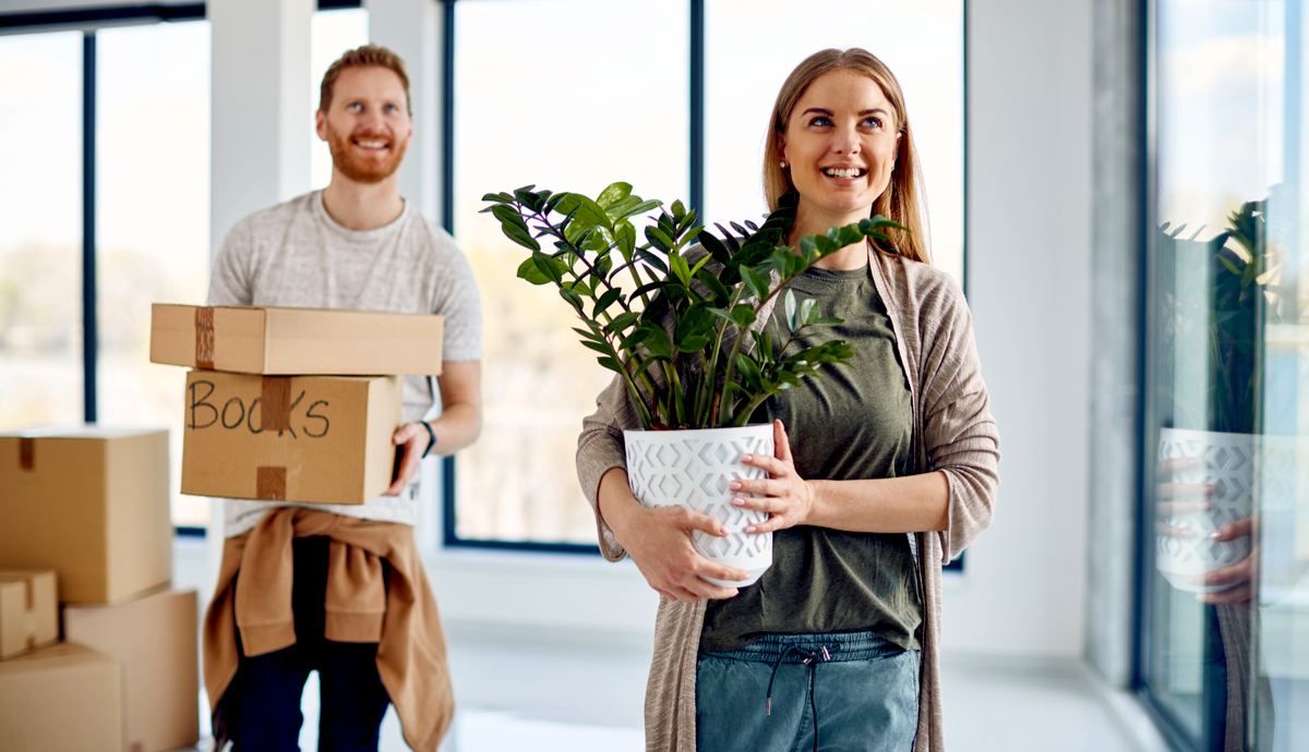 Want to Rent Plants for Events FAQs Plantscape LIVE